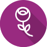Flower Designer