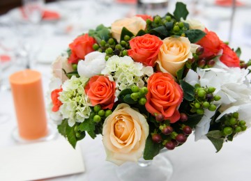 Coral Fantasy