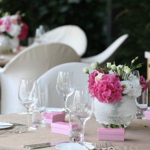 Pink Fairytale
