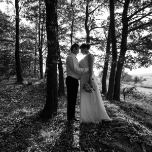 Pixel Wedding