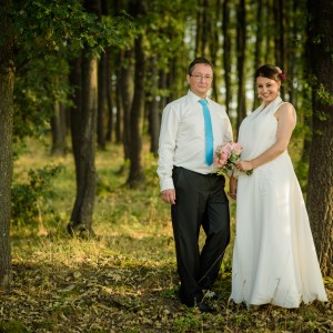 Pixel Wedding