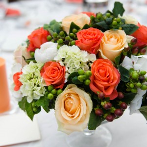 Coral Fantasy