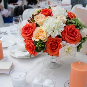 Coral Fantasy