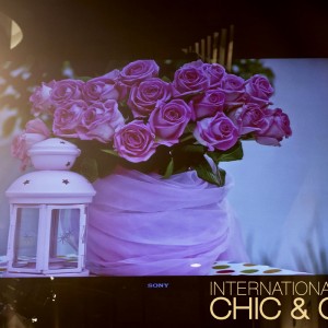 Chic & Cozy: Money Never Sleeps