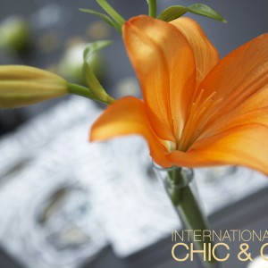 Chic & Cozy: Money Never Sleeps