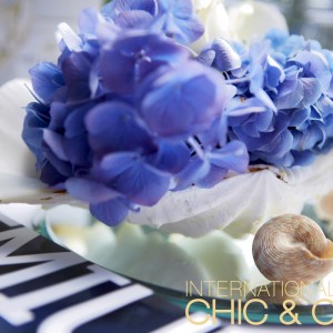 Chic & Cozy: So Ice, So Nice