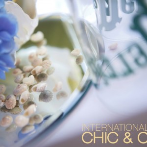 Chic & Cozy: So Ice, So Nice