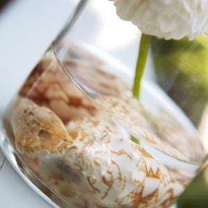 Chic & Cozy: So Ice, So Nice